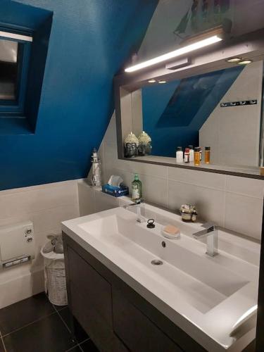 une salle de bain avec un lavabo blanc et un miroir dans l'établissement bel appartement 50 m2 aux portes de STRASBOURG de 1 à 5 personnes chez particuliers avec 2 sdb coin cuisine-repas et kitchinette Prix négociable pour 1 personne, à Vendenheim