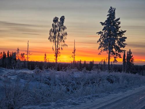 a snowy field with trees and a sunset in the background at Hotellet i Jörn AB in Jörn