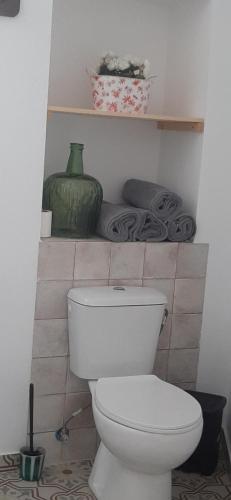 a bathroom with a white toilet and a green vase at Bonita Casa Señorial en pleno casco antiguo de Nijar in Níjar