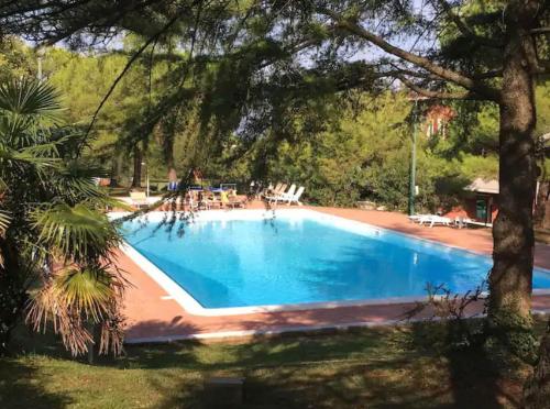 a large swimming pool in a yard with trees at Nina House in Desenzano del Garda