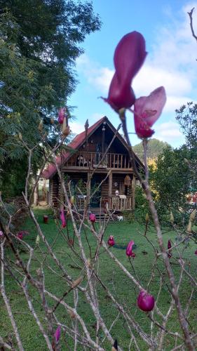 a log house in the background with a tree at Casa de toras in Campo Alegre