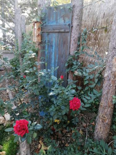 Zahrada ubytování L'Embellie un gîte tout confort et cocooning