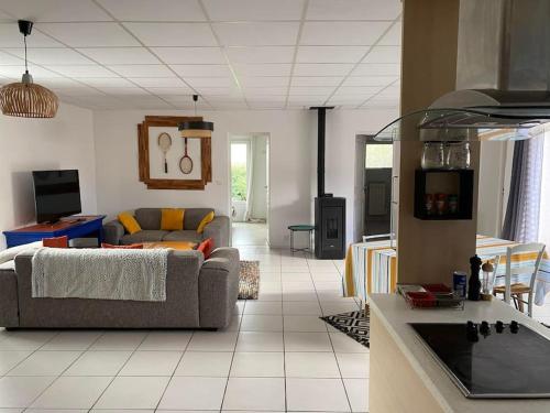 Les oiseaux Mimizan Plage