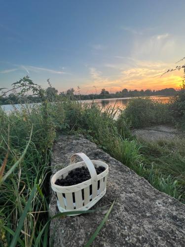 Paesaggio naturale nelle vicinanze del bed & breakfast