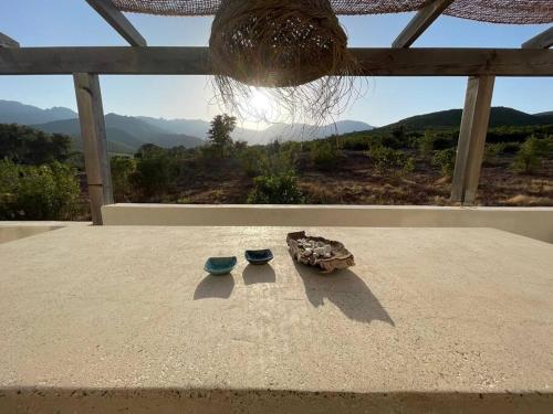 deux bols assis au-dessus d'une table avec vue dans l'établissement VILLA CARCO VECCHIO II, à Pietracorbara