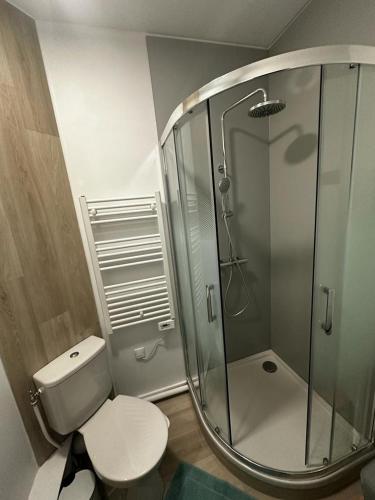 une salle de bain avec toilettes et douche en verre dans l'établissement Le Petit Rempart, à Niort