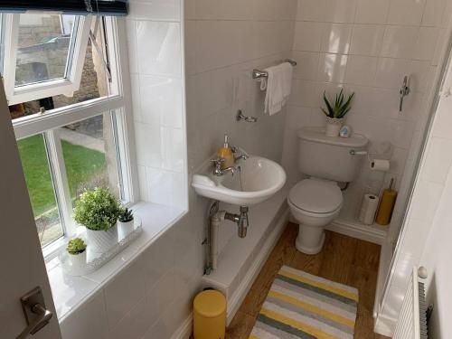 a bathroom with a toilet and a sink and a window at Lancaster 1 bed Cottage Apartment- M6 - Lancs Uni in Lancaster