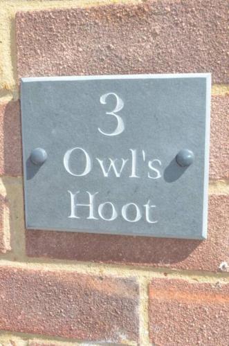 Owl's Hoot – Photos 2