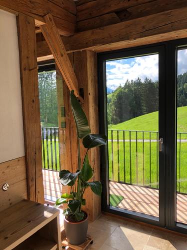 een veranda met glazen schuifdeuren en een potplant bij Apartment Stillleben Luxus für die Seele in Abtenau