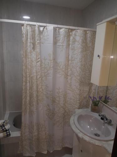 a bathroom with a shower curtain and a sink at El Descanso in Ourense