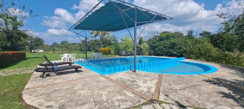 a swimming pool with a blue canopy over it at Hotel Los Leones in Palenque