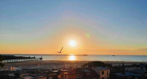 un oiseau survolant une plage au coucher du soleil dans l'établissement BELLEVUE -Appartement de Charme - Vue imprenable sur la Mer - Face à Nausicàa, à Boulogne-sur-Mer
