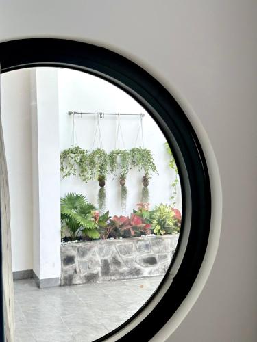 a mirror with plants hanging on a wall at Aboli Homestay in Phan Thiet