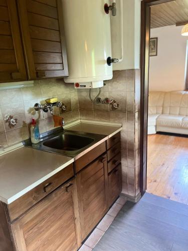 a kitchen with a sink and a couch at Hiška pri Vrjaku in Bohinjska Bistrica