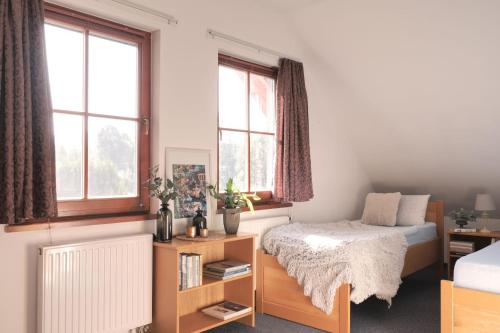 ein Schlafzimmer mit einem Bett und zwei Fenstern in der Unterkunft Vila Lipno in Frymburk