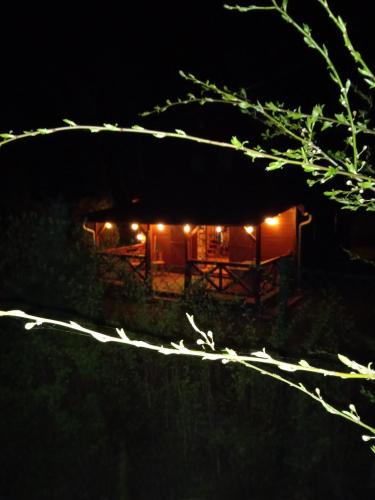 a cabin lit up at night with lights at Wilkaski zakątek in Giżycko