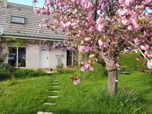 a tree with pink flowers in front of a house at Chambre privée dans maison au calme in Louviers