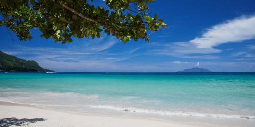 a view of a beach with the blue ocean at Alpha & Omega Apartment Seychelles in Beau Vallon