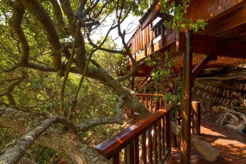 Fotografie z fotogalerie ubytování Ballots Bay Treehouse by Host Agents v destinaci George