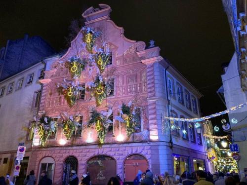 Foto dalla galleria di Cosy F2 Schiltigheim Wacken a Schiltigheim