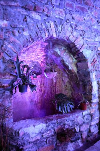 Fotografie z fotogalerie ubytování Il Giardino di Gio' v destinaci Imperia