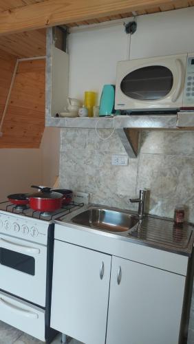 Η κουζίνα ή μικρή κουζίνα στο Alpina la Turka
