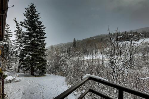 Snowmass Condo with Amenities Less Than 1 Mi to Slopes! v zimě