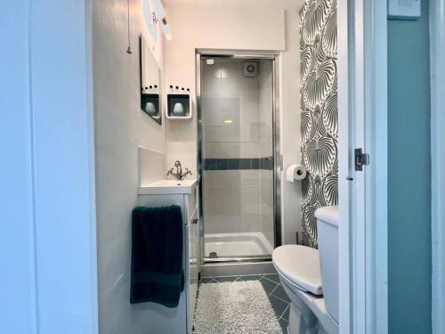 a bathroom with a toilet and a sink and a shower at Little Oasis with Sea Views in Stoke Fleming