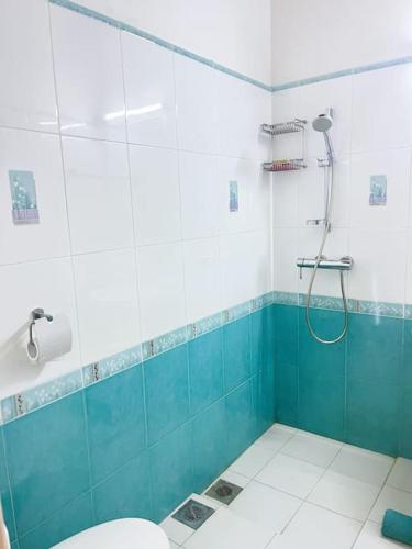 a bathroom with a shower and a toilet at Caro Villa in Induruwa