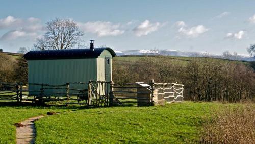 a green barn in a field with a fence at Cefnmachllys Shepherds Huts in Brecon