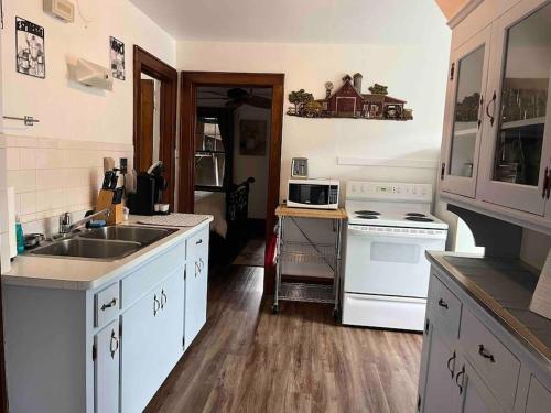 a kitchen with a sink and a stove at Nice 1 BR Apt, WIFI & Office, Near State Fair in West Allis