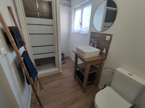 ein Badezimmer mit Toilette, Waschbecken und Spiegel in der Unterkunft Les meublés de Louis-Marie, 2 appartements indépendants pour 4 personnes, 8 personnes au total, proche du Puy du Fou in Saint-Amand-sur-Sèvre