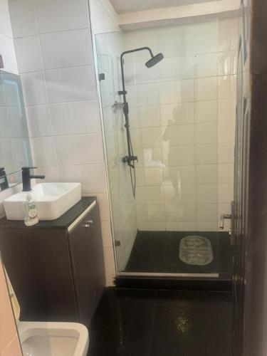 ein Bad mit einer Dusche, einem WC und einem Waschbecken in der Unterkunft Merry Villa in Lagos
