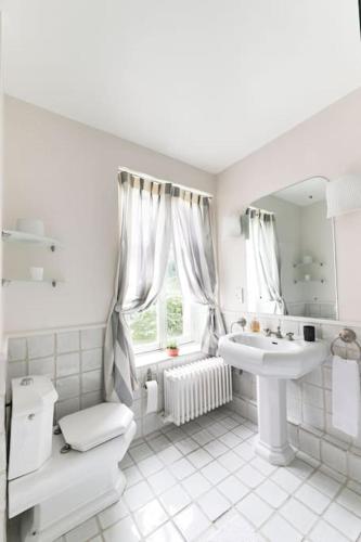 une salle de bain avec un lavabo, des toilettes et un miroir dans l'établissement Maison Nelson, à Villecerf