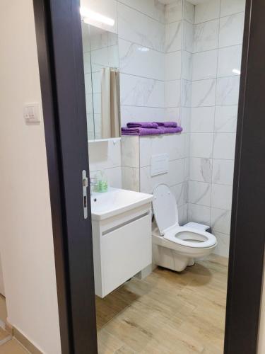 a white bathroom with a toilet and a sink at Apartman Lukić in Banja Koviljača