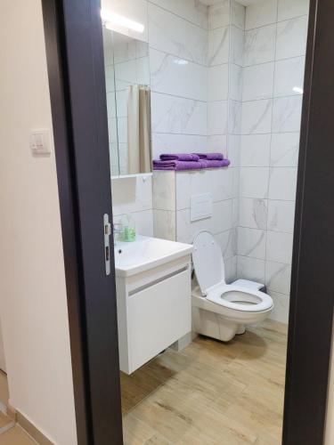 Bilik mandi di Apartman Lukić