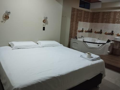 a bedroom with a bed and a tub and a sink at Amazon deluxe in Jaén