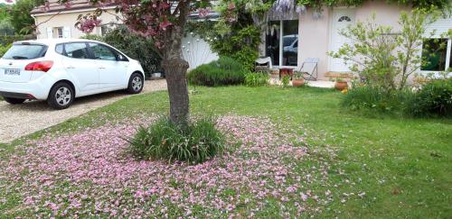 a white car parked in a yard with pink flowers at Chez Loti in Louviers