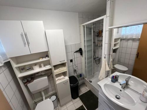y baño blanco con lavabo y ducha. en Modernes Apartment Saarbrücken, en Saarbrücken
