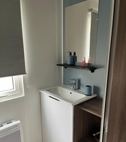 une salle de bain avec un lavabo et un miroir dans l'établissement Mobile home Bora Bora, à Gastes