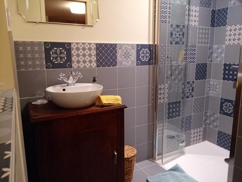 a bathroom with a sink and a shower at à la Mainguère, chambres d'hôtes in Brécé