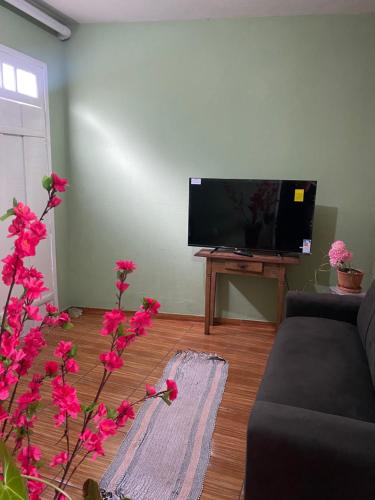 Casa de dois quartos para 6 pessoas-Casa das Flores في أورو بريتو: غرفة معيشة مع أريكة وتلفزيون