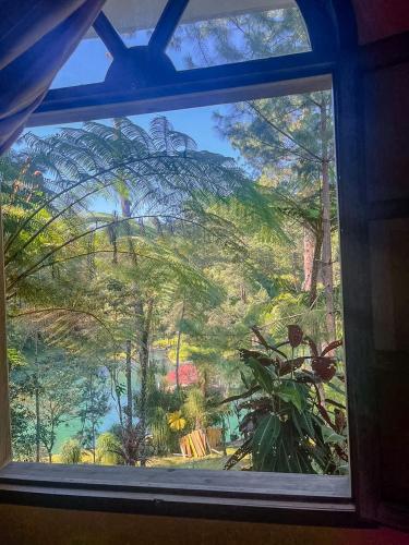 una ventana con vistas al jardín a través de ella en Hotel Xucaneb, en Cobán