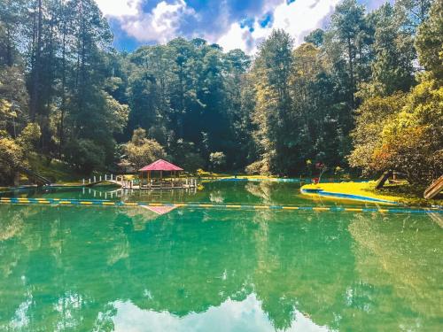 um lago com um gazebo no meio de uma floresta em Hotel Xucaneb em Cobán