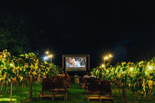 a bunch of chairs in a vineyard at night at LOTE20 Hotel Boutique in Bento Gonçalves