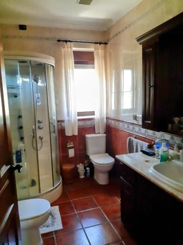 a bathroom with a shower and a toilet and a sink at La Huerta de Elisa in Villanueva de Duero