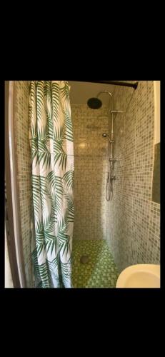 a bathroom with a shower with a shower curtain at Belle appartement chaleureux à 2 mn à pied du tramway. in Saint-Étienne