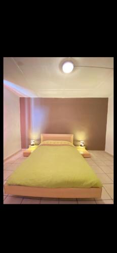Un dormitorio con una cama verde con dos luces. en Belle appartement chaleureux à 2 mn à pied du tramway., en Saint-Étienne