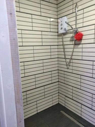ein Bad mit einer Dusche mit einer roten Blume in der Unterkunft Rooms for rent in Solihull in Solihull