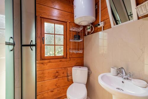 a bathroom with a toilet and a sink at Domki Letniskowe Wiktoria in Dąbki